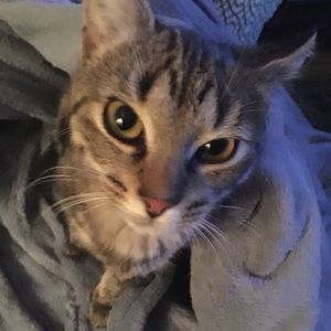 Meet your Posher, ATL